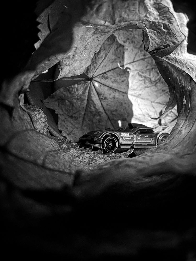 Photograph by Денис Шимончук