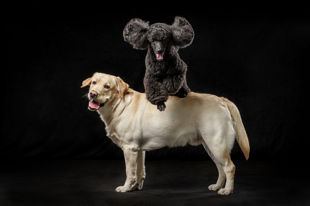 Photograph by Владимир Лиепин