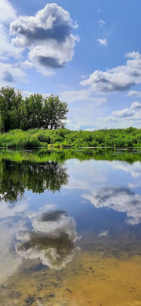 Photograph by Ирина Константиновна