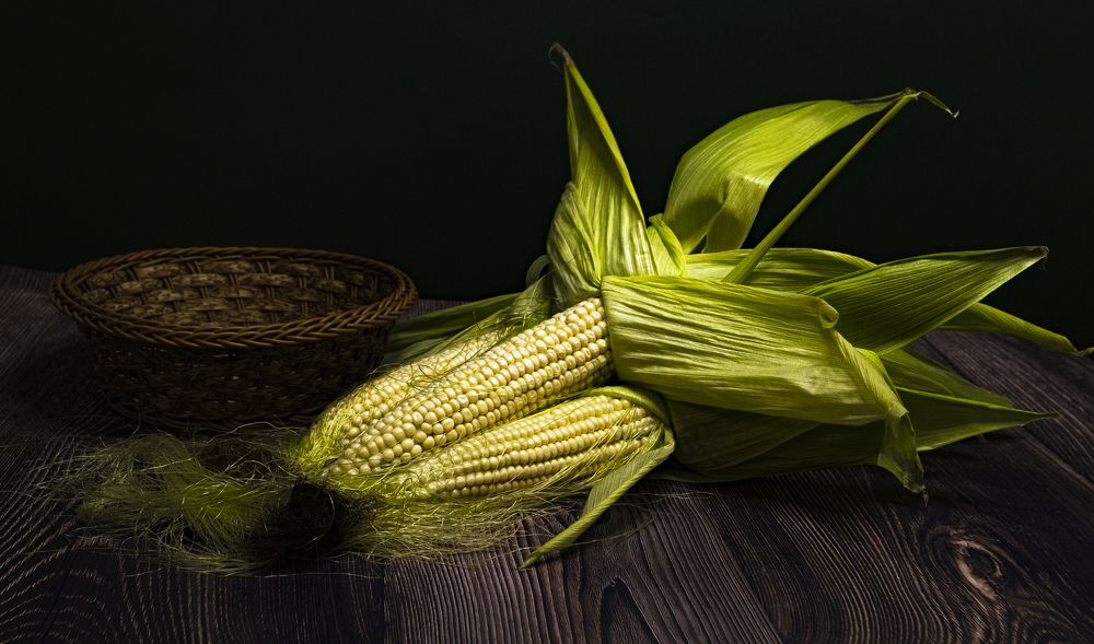 Photograph by Alex Kalpus