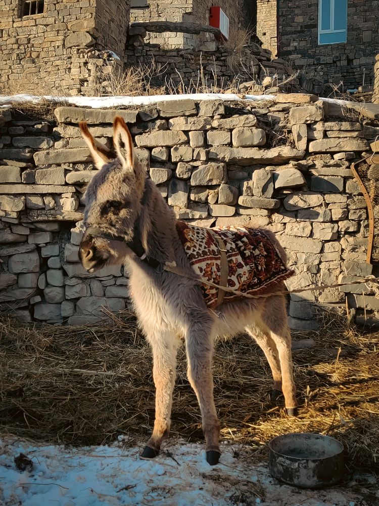 Photograph by Дмитрий Синицын