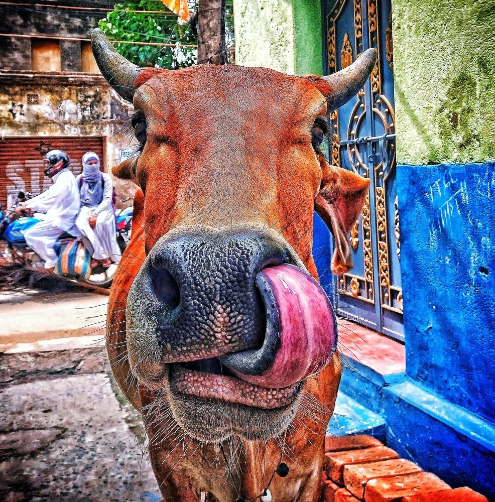 Photograph by Bishwarup Karmakar