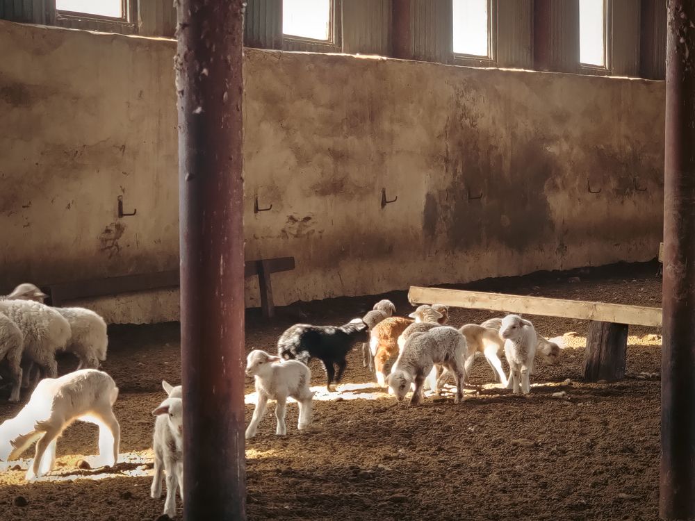 Photograph by Дмитрий Синицын