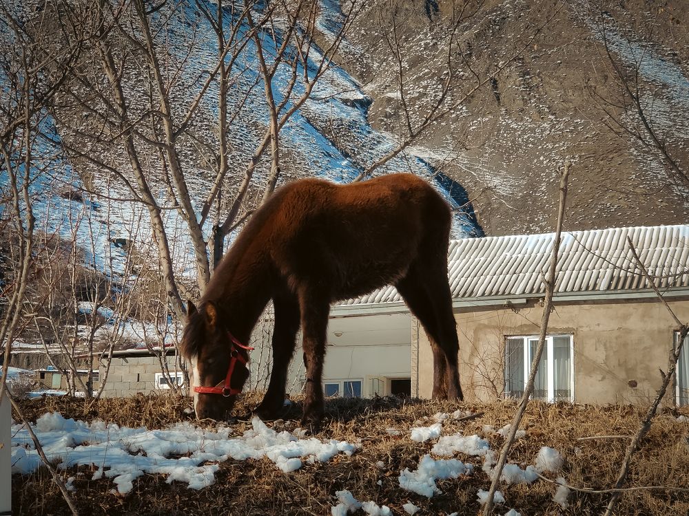 Photograph by Дмитрий Синицын