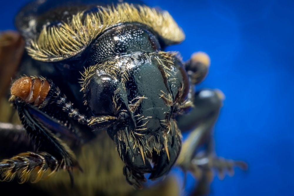 Photograph by Николай Фонарёв