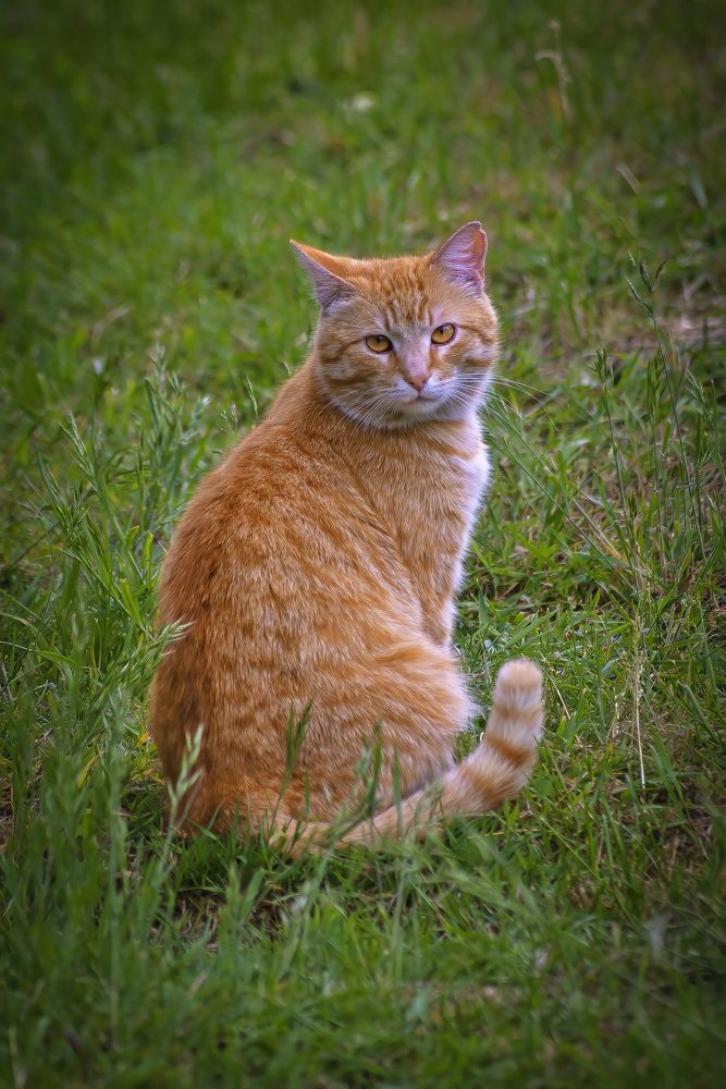 Брутальный парень