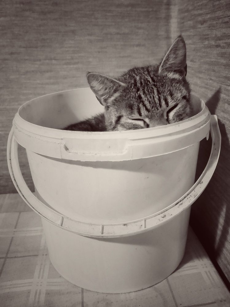 Photograph by Наталья Егорова