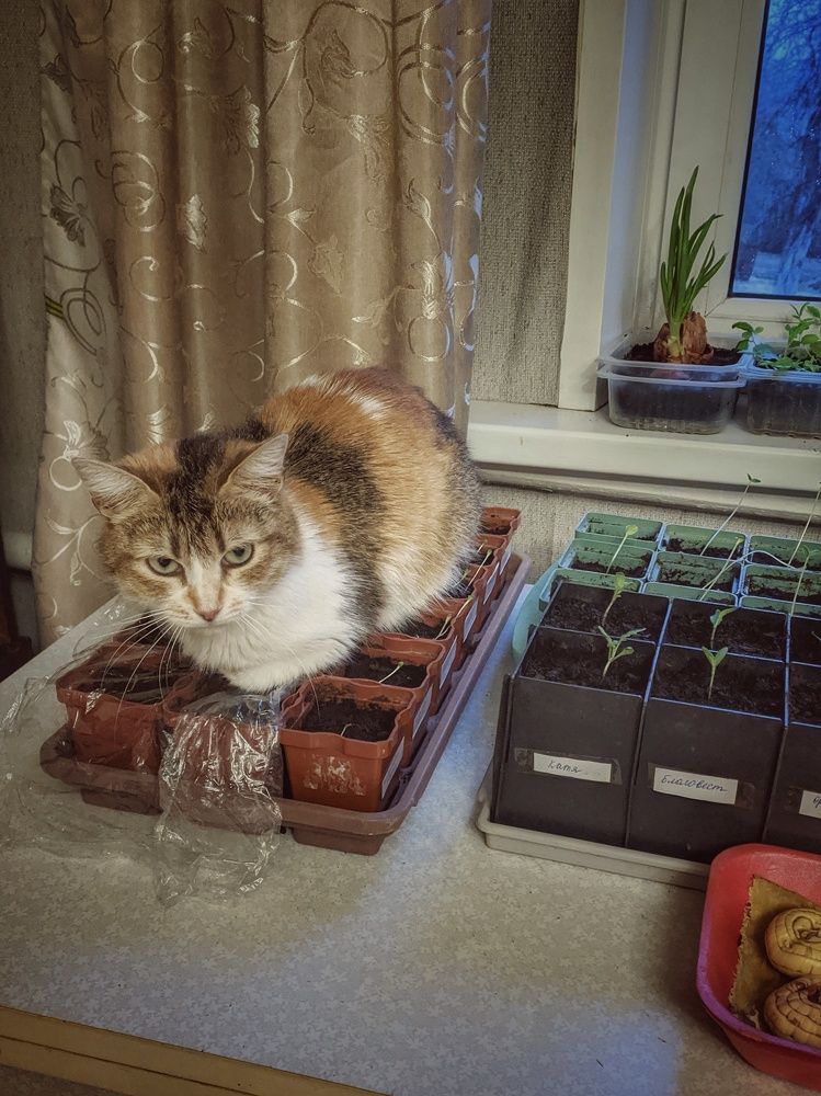 Photograph by Наталья Егорова