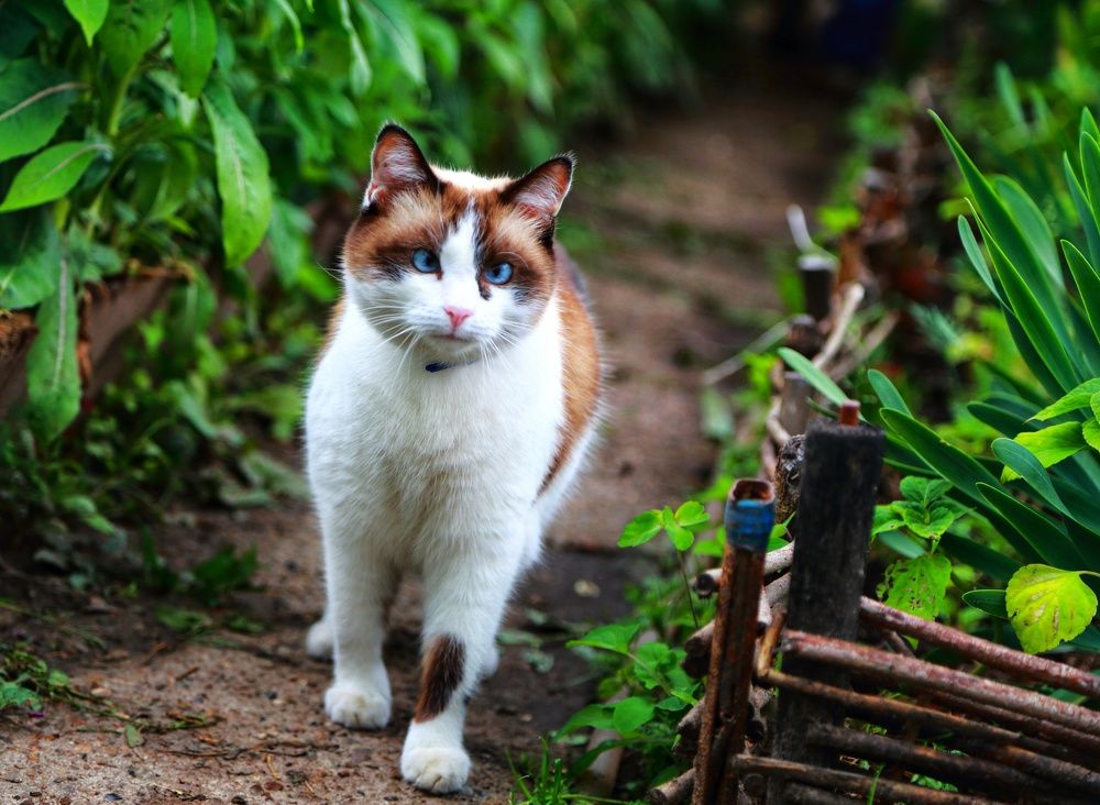 Photograph by Мария Андреева