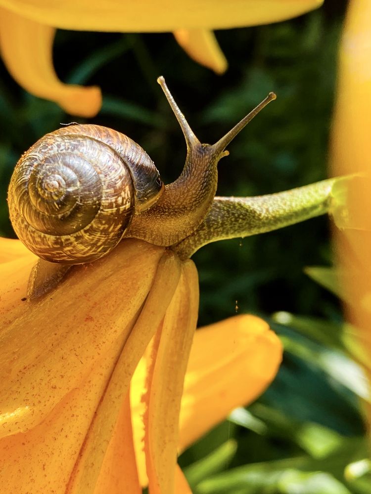 Photograph by Ольга Атаева