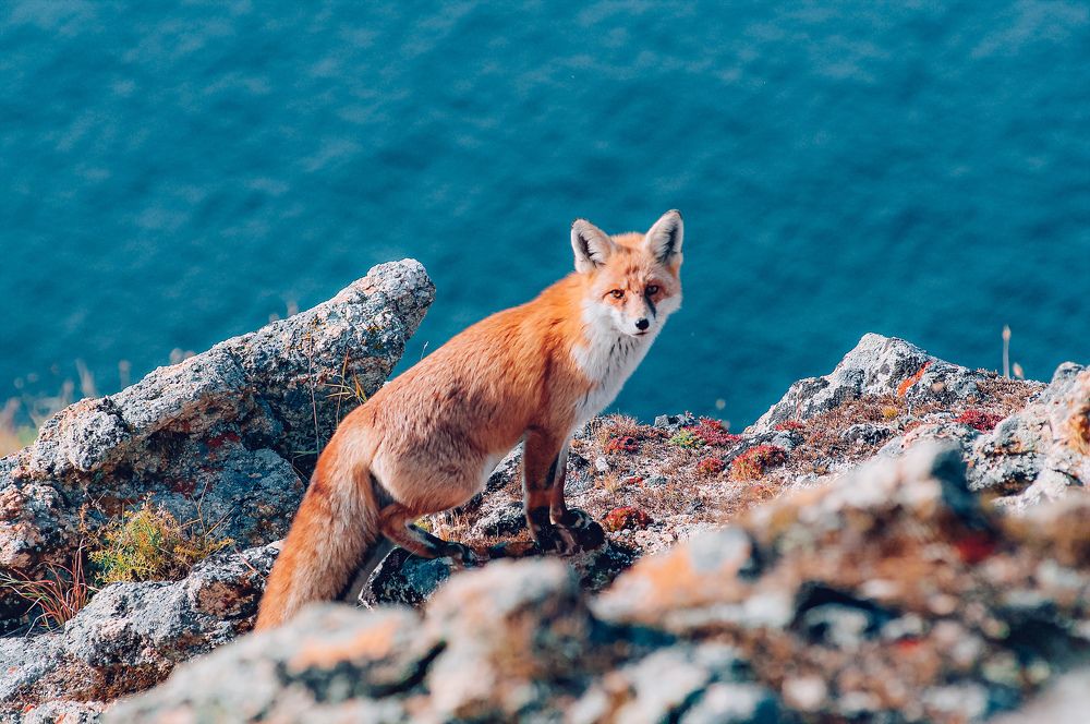 Photograph by Анастасия Сахаревич