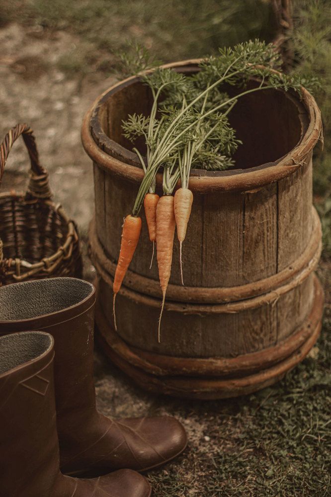 Photograph by Ирина Столбовая