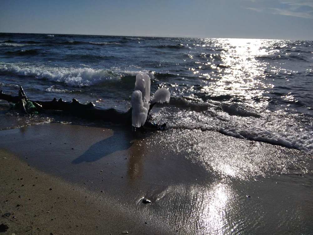 Photograph by Галина Мурашкина
