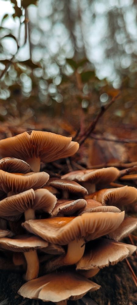 Photograph by Катерина Ермолаева