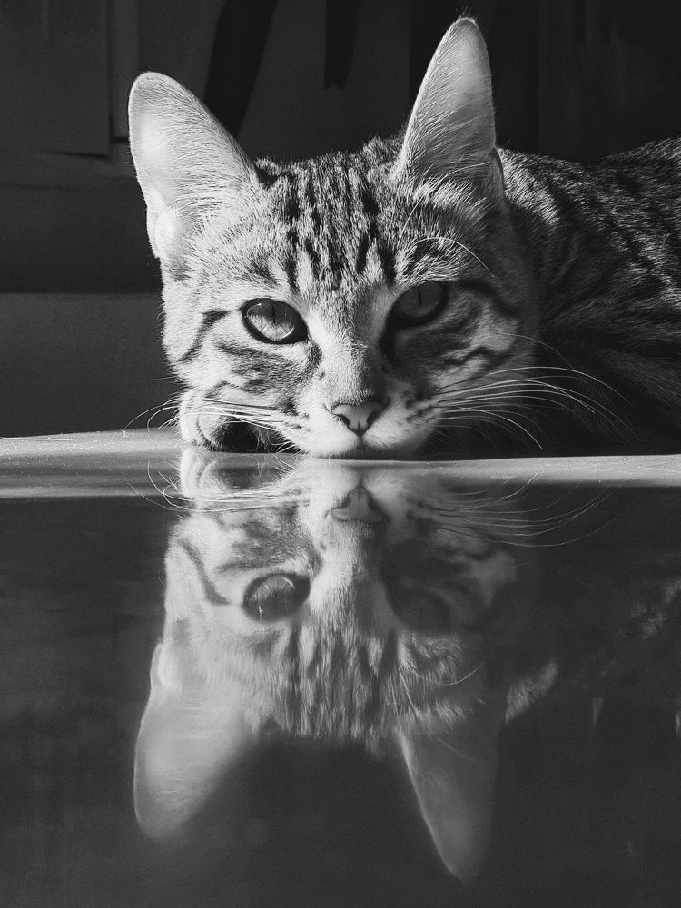 Photograph by Yulia Bilato