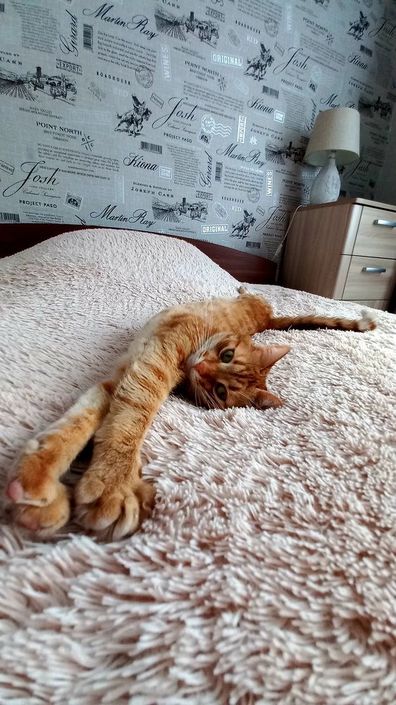 Photograph by Ольга Абрамова