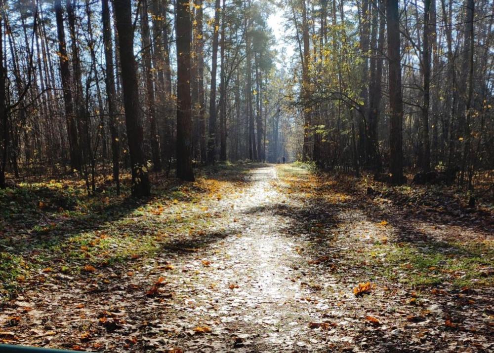 Photograph by Анна Андреевна