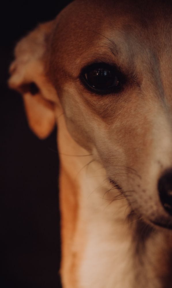 Photograph by Светлана