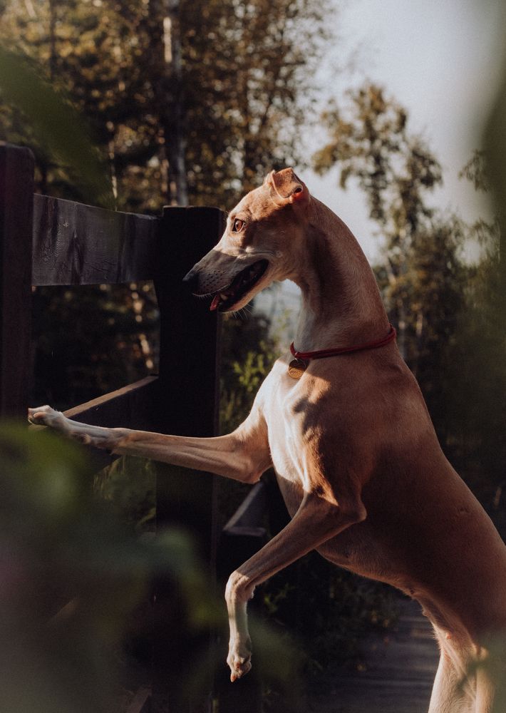 Photograph by Светлана