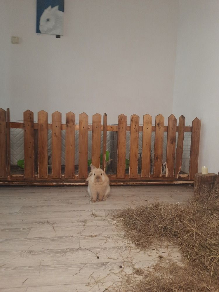 Фотография автора Ева Евстропова