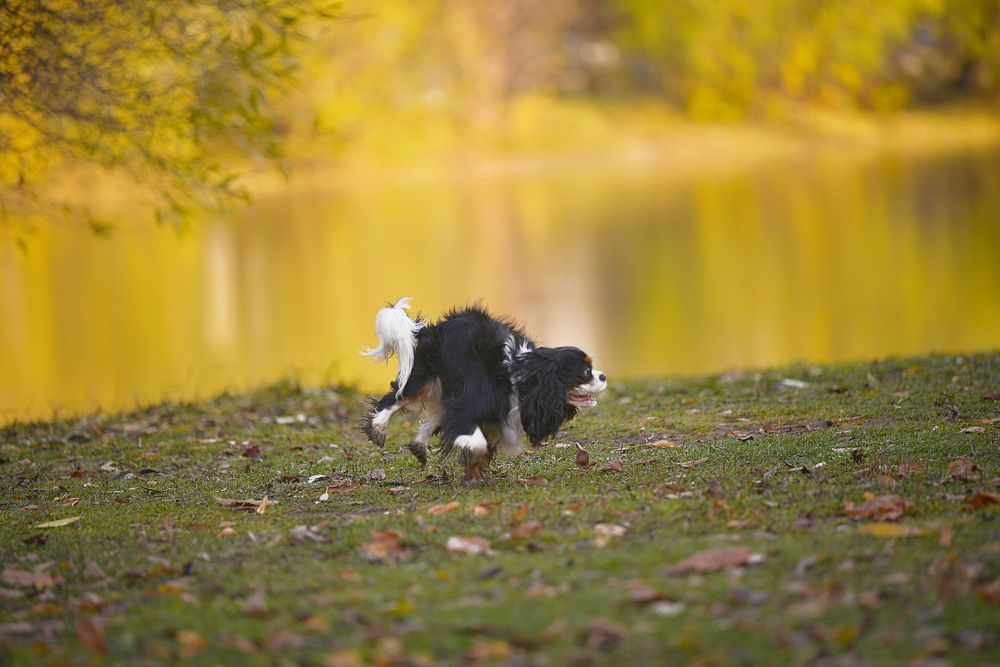 Photograph by Наталия Комаровская