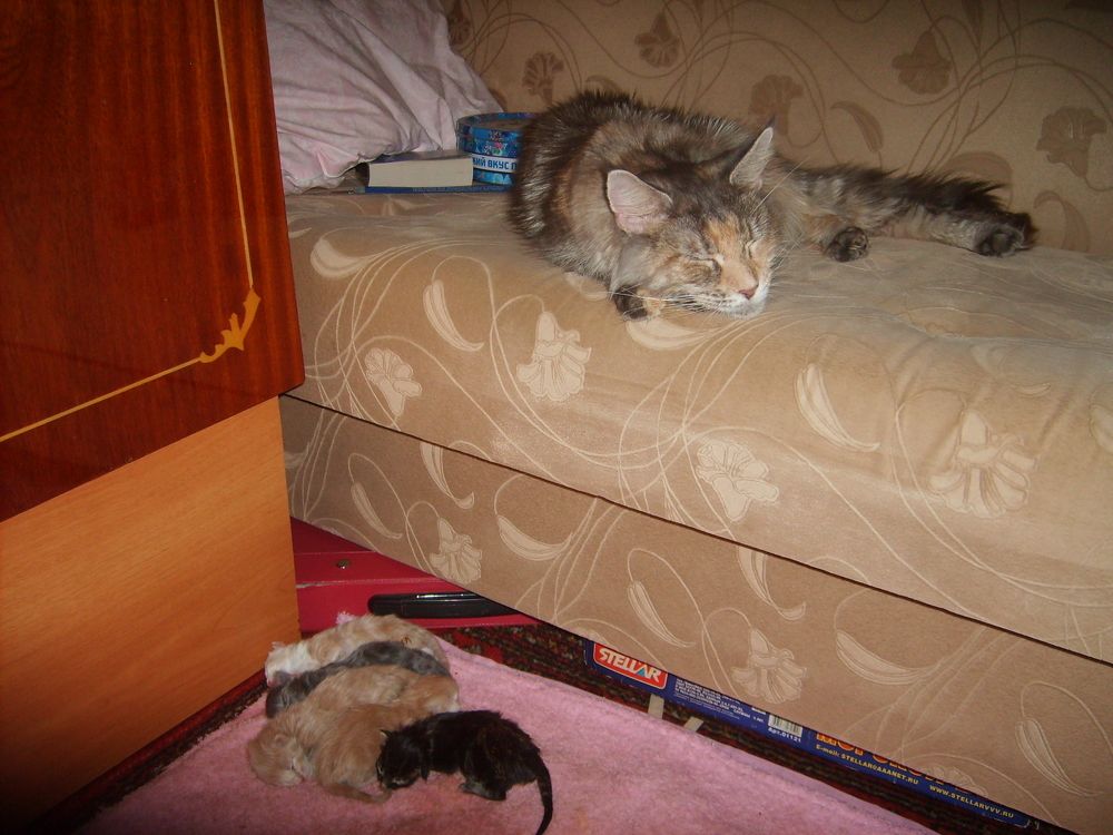 Photograph by Лебедев Сергей