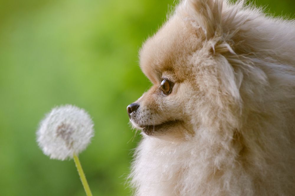 Photograph by Бугакова Ольга