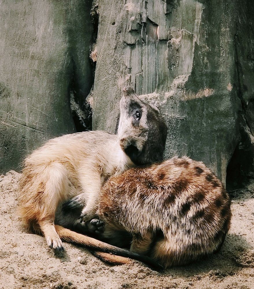 Photograph by Татьяна Гулакова