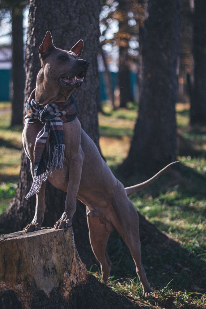 Photograph by Светлана