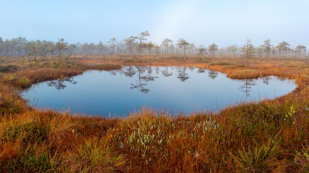 Photograph by Vera Komarova