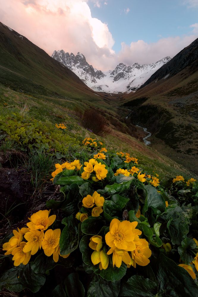 Photograph by Рябинин Влад