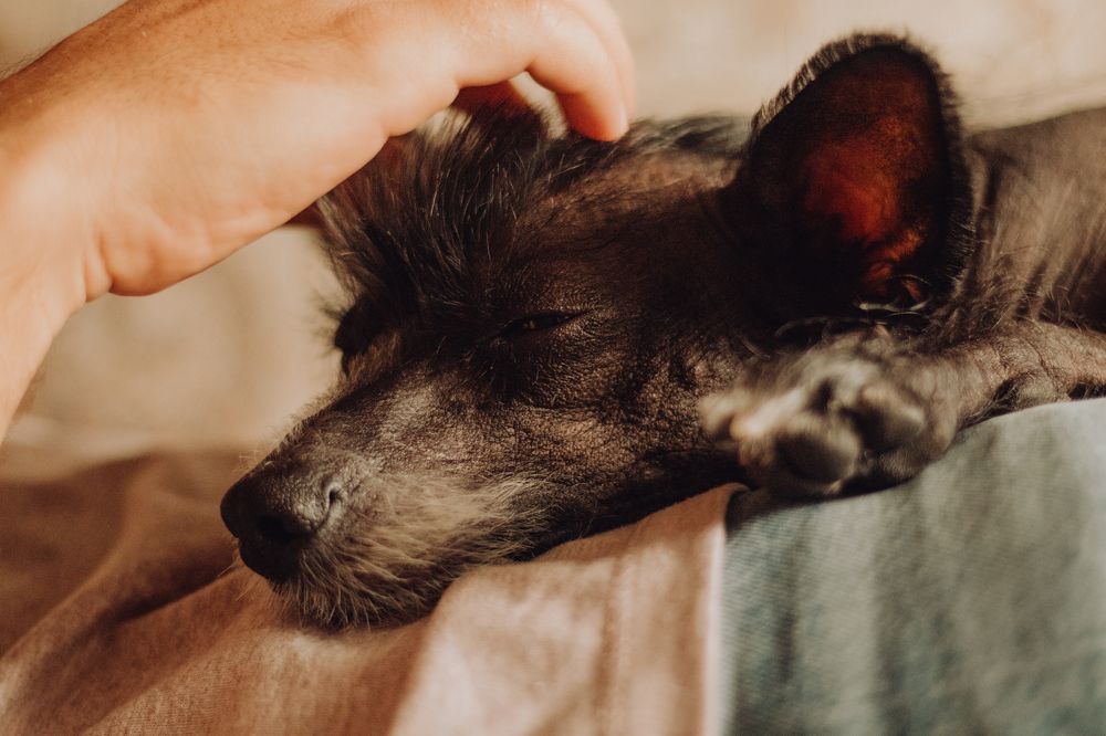 Photograph by Светлана