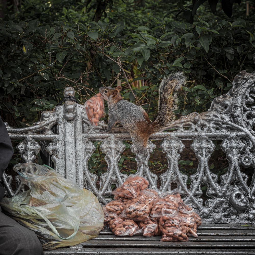 Photograph by Mosqueda Ruben