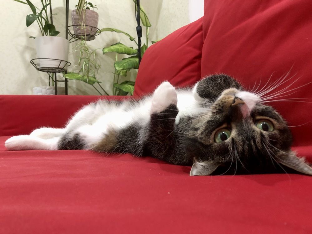 Photograph by Олеся Семёнова