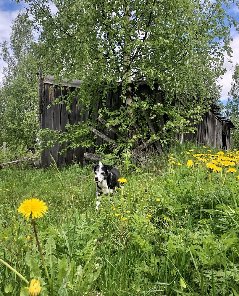 Photograph by Олеся Семёнова