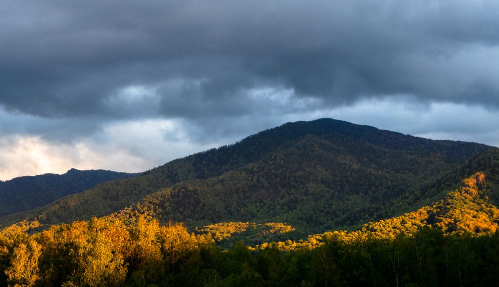 Photograph by Татьяна Вяткина