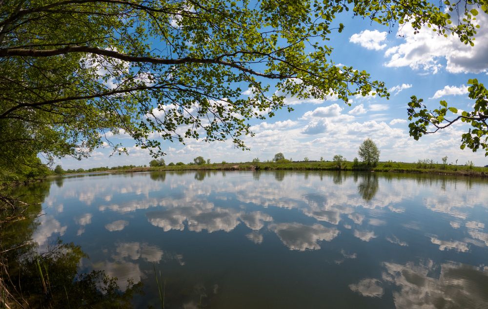 Photograph by Татьяна Вяткина