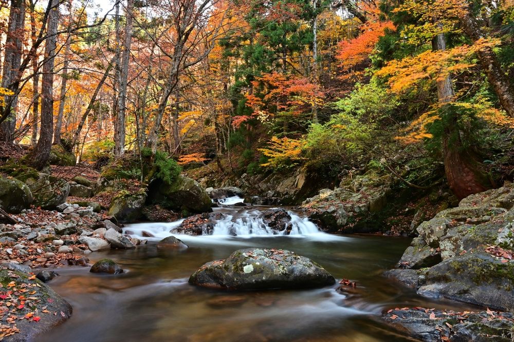 Photograph by Ohta Sigeki