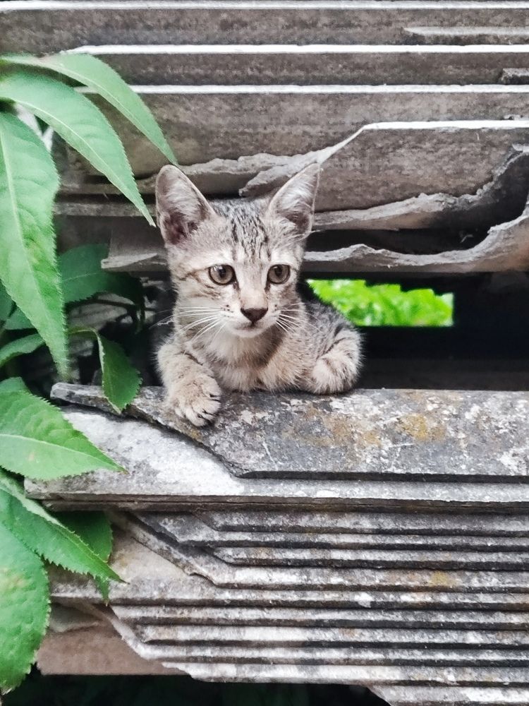 Photograph by Sajad Alizadeh