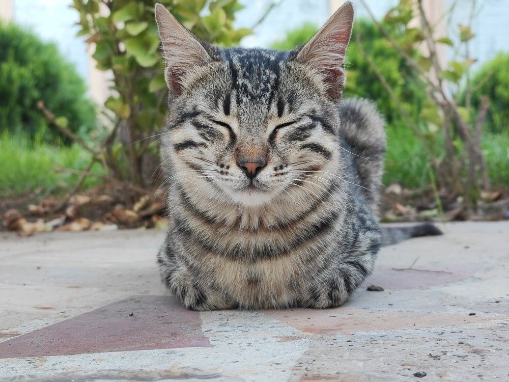 Photograph by Sajad Alizadeh