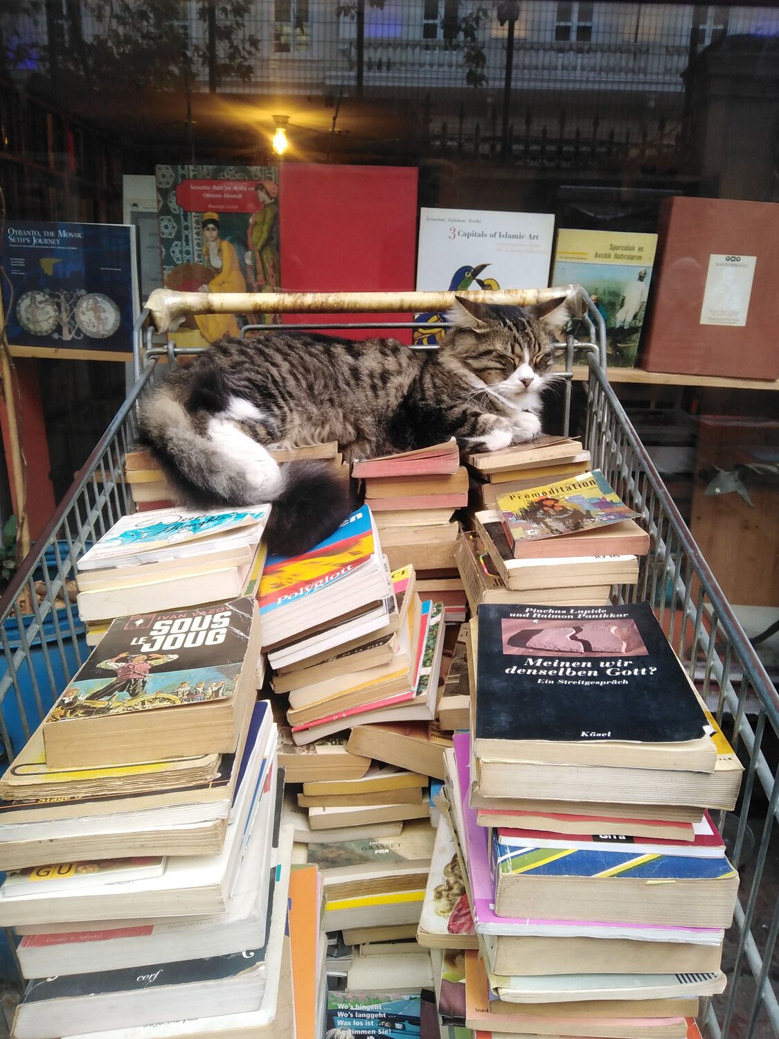 Photo #9805844