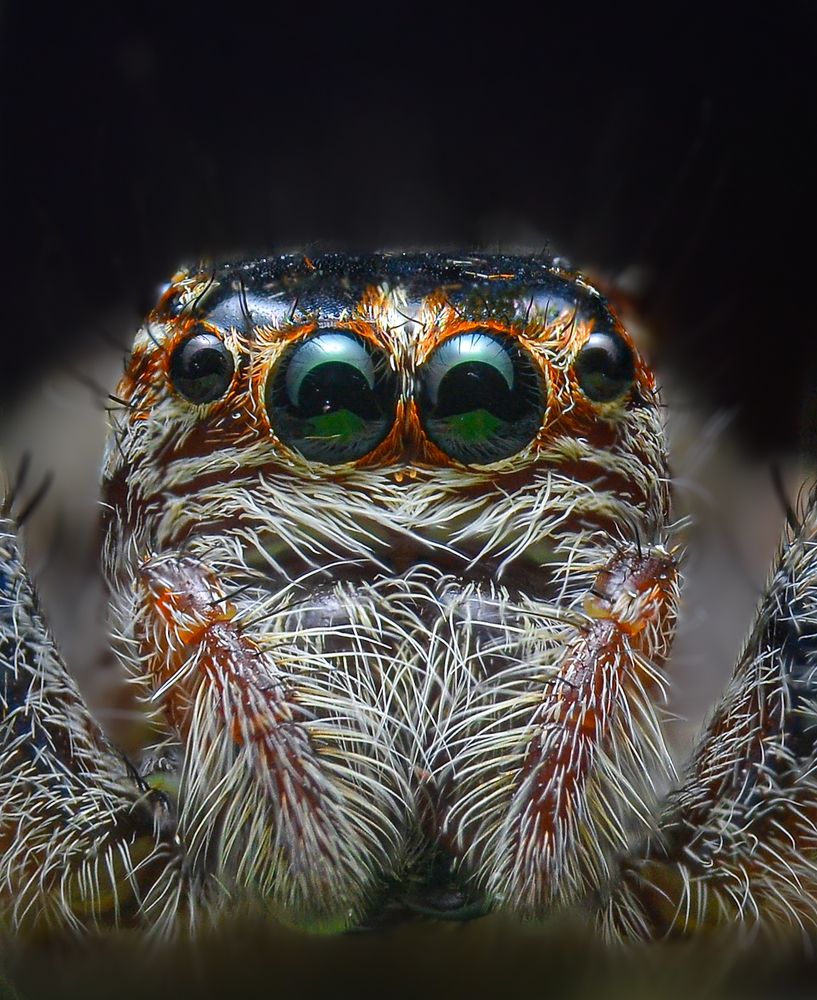 Photograph by Kasun Wickramasinghe