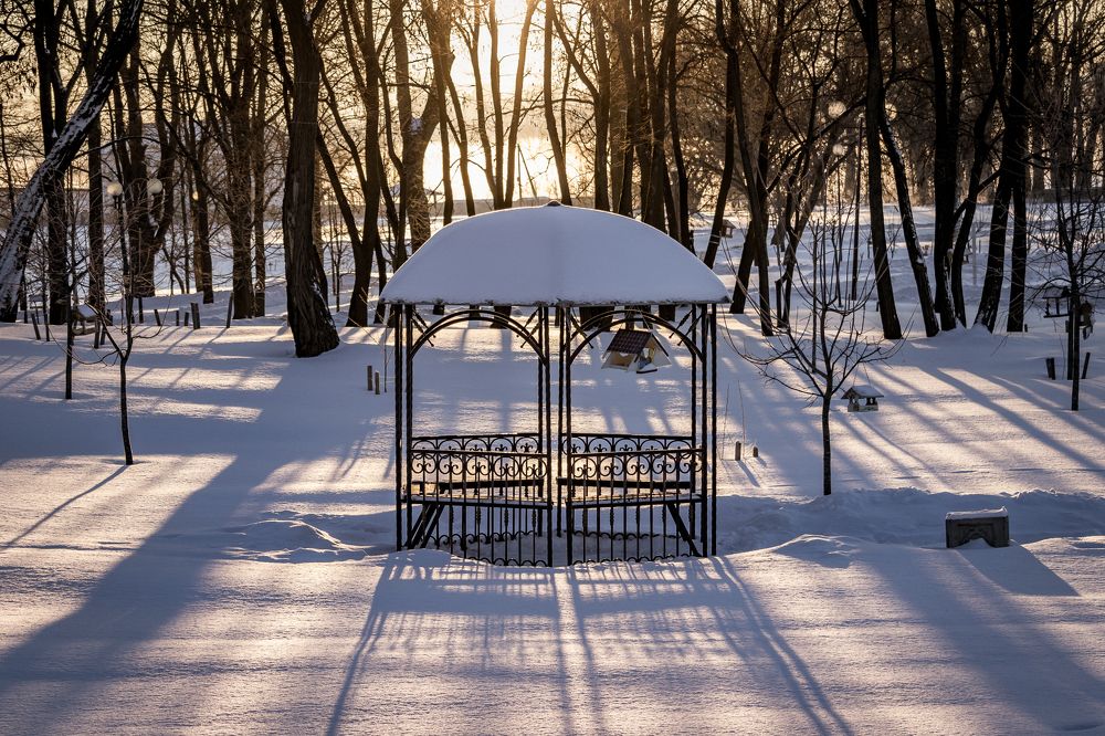 Вечер в парке