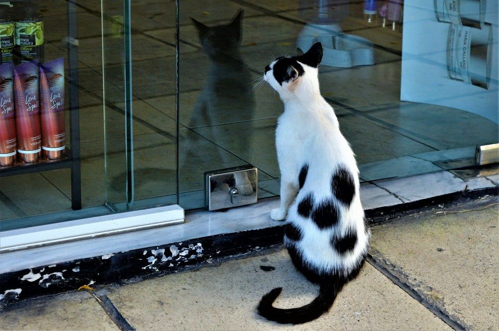 Photograph by Jozef Potocký