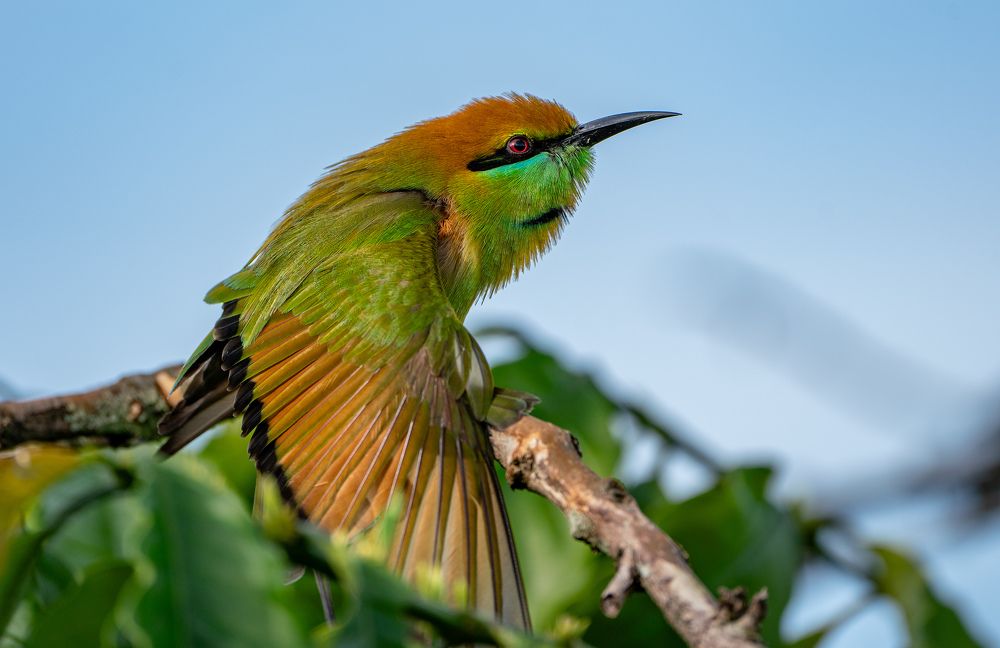 Photograph by lê tấn thanh