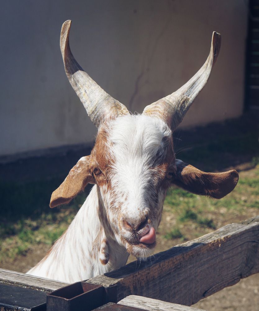 Photograph by Светлана Хаматзянова