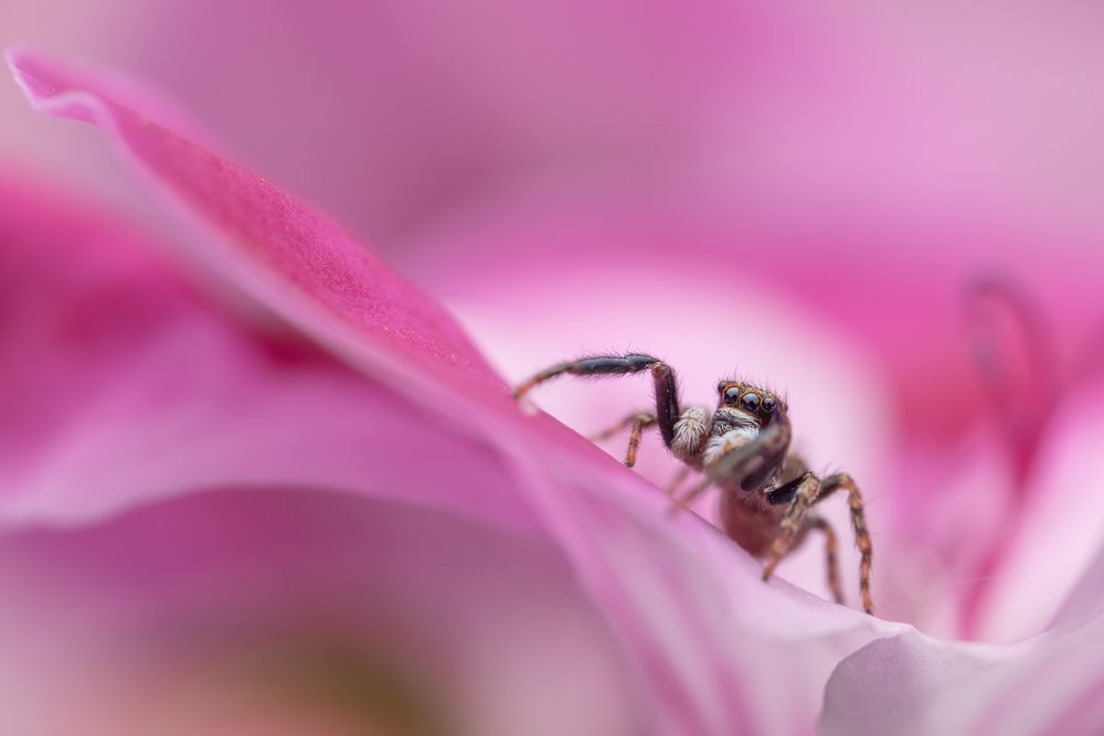 Фотография автора Krisztina Mácsai