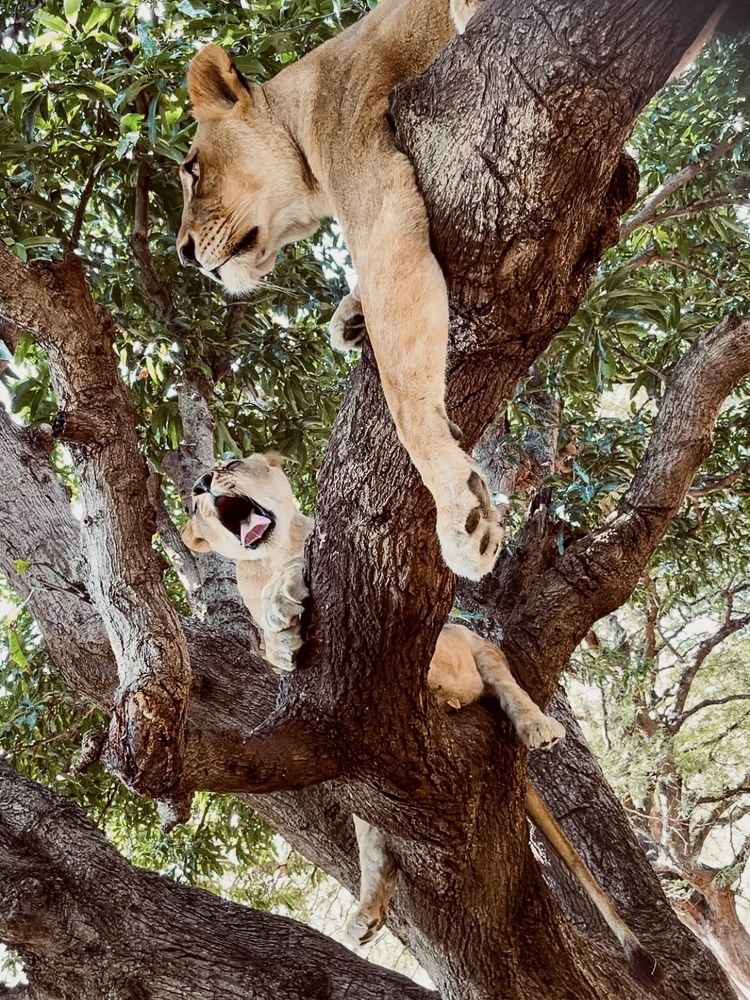 Photograph by Iuliia Akhulkova