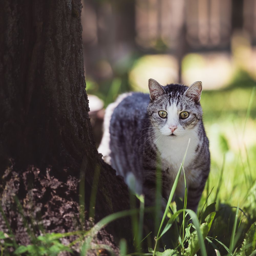 Photograph by Victor Stepanov