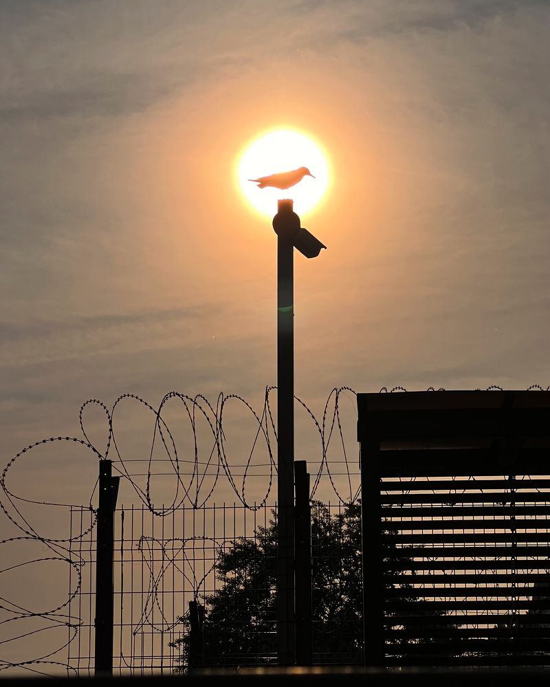 Photograph by Алексей Ханыков